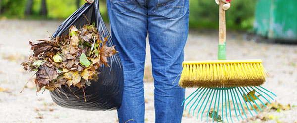 yard waste photo