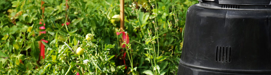 Composter in garden