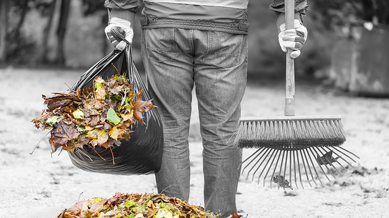 Yard Waste Collection